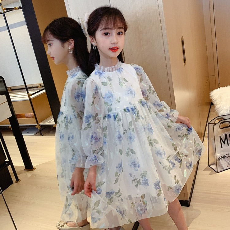 Girl's spring Princess Dress